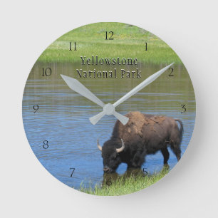 Horloge Ronde Bison de parc national de Yellowstone dans l'étan