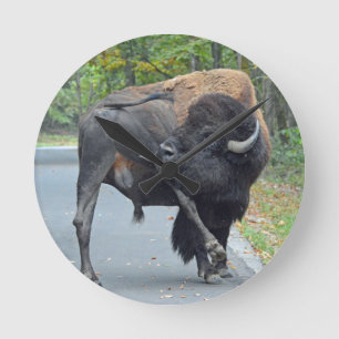 Horloge Ronde Bison drôle de Taureau léchant ses testicules