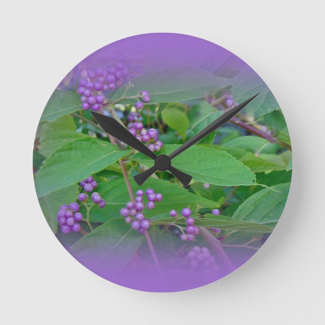 Horloge Ronde Bleue d'Amérique (Callicarpa americana) (Recto)