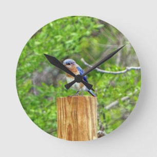 Horloge Ronde Bluebird on a Fence Post