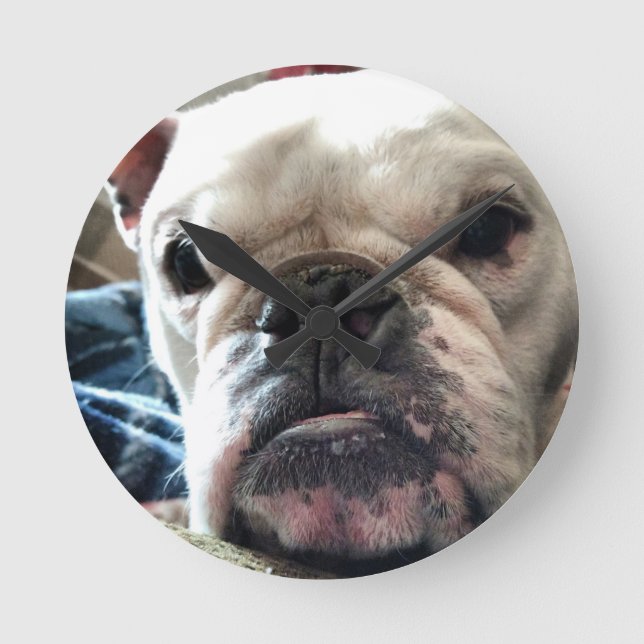 Horloge Ronde Bulldog anglais (Recto)