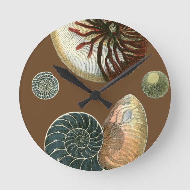 Horloge Ronde Cacao Shell (Recto)
