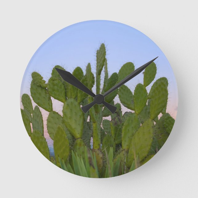 Horloge Ronde Cactus et sisal dans la forêt sèche (Recto)
