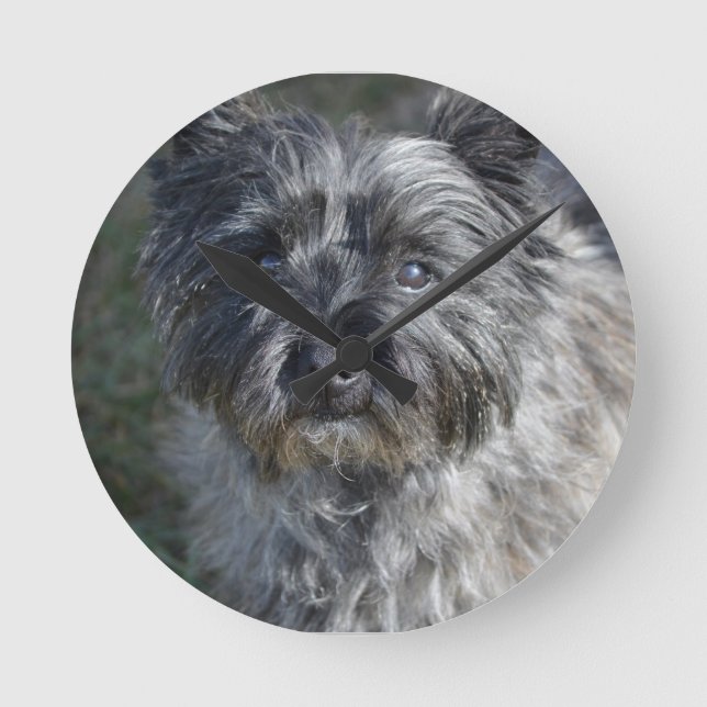 Horloge Ronde Cairn Terrier Face (Recto)