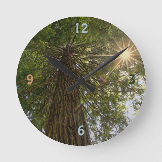 Horloge Ronde Calming Sequoia With Sunburst Nature Photo (Recto)
