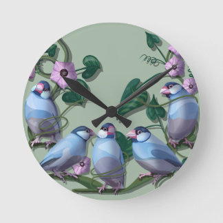 Horloge Ronde Calopsittes de Java 