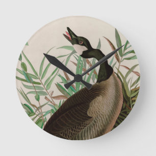 Horloge Ronde Canada Goose Birds of America Audubon