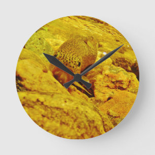 Horloge Ronde Canal en flux