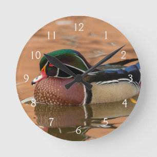 Horloge Ronde Canard branchu nageant dans l'eau