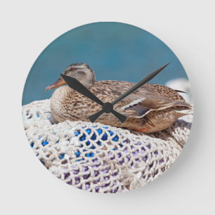 Horloge Ronde Canard de repos