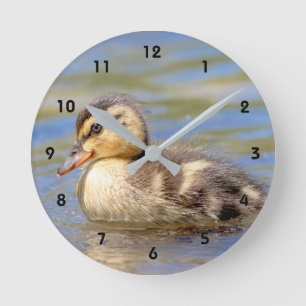 Horloge Ronde Caneton de Mallard