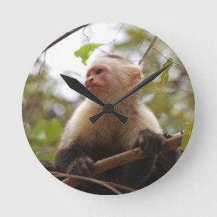 Horloge Ronde Capucin curieux, singe du Costa Rica