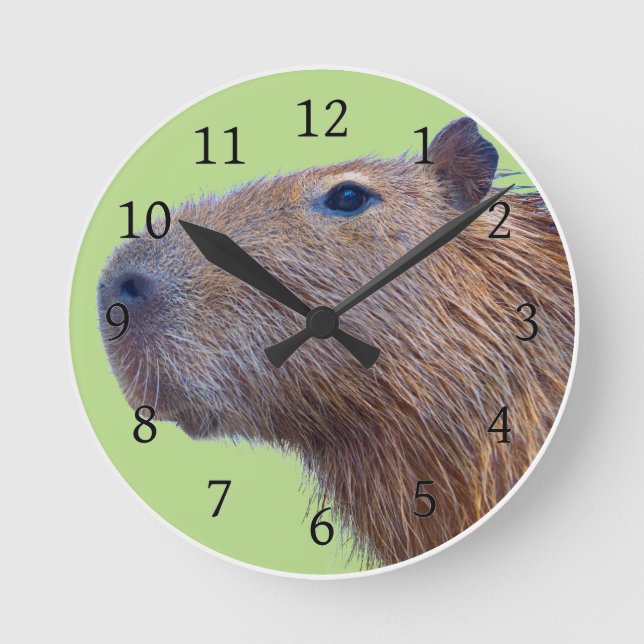 Horloge Ronde Capybara (Recto)