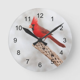 Horloge Ronde Cardinal du Nord sur une branche