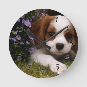 Horloge Ronde Cavalier le roi Charles Spaniel Puppy derrière le