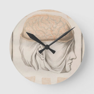 Horloge Ronde Cerveau un - Neuroanatomie