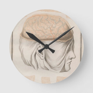 Horloge Ronde Cerveau un - Neuroanatomie