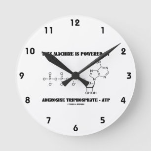 Horloge Ronde Cette machine est actionnée par l'adénosine