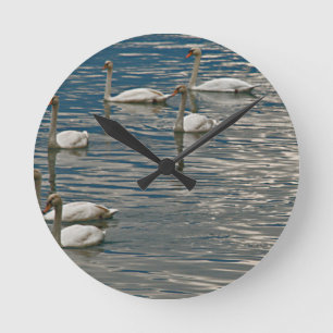 Horloge Ronde Chanson de cygne