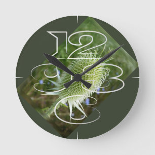Horloge Ronde Chardon au soleil d'été