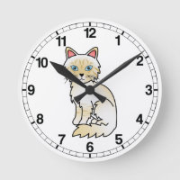 Chat Birman / Ragdoll au tabby crème pointe
