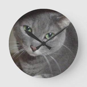 Horloge Ronde Chat bleu russe