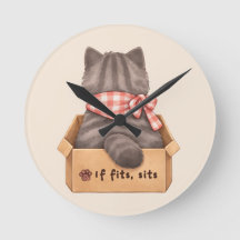 Chat dans la boîte