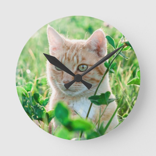 Horloge Ronde Chat de gingembre avec yeux verts en herbe (Recto)