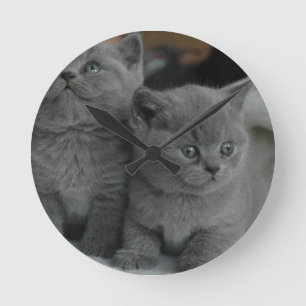Horloge Ronde chat mignon de jeune de chaton d'animal familier