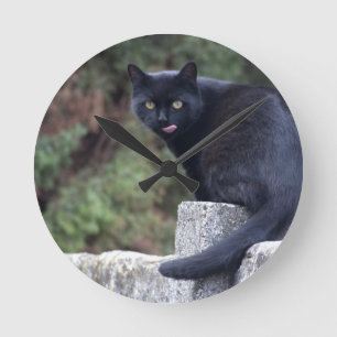 Horloge Ronde Chat noir