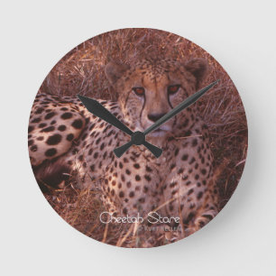 Horloge Ronde Cheetah Stare
