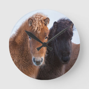 Horloge Ronde Cheval islandais pendant l'hiver sur l'Islande 2