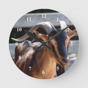 Horloge Ronde Chèvre Noir Cornes Brown Photo d'animal