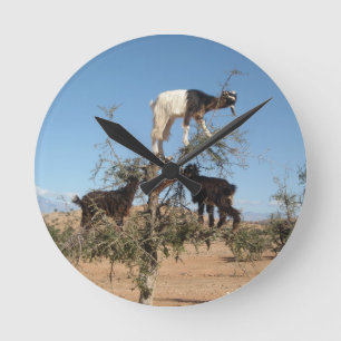 Horloge Ronde Chèvres amusantes dans un arbre