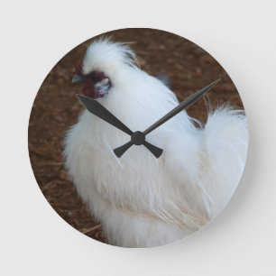 Horloge Ronde Chicken de White Silkie