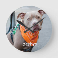 Chien avec le Bandana