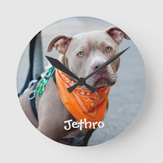 Horloge Ronde Chien avec le Bandana