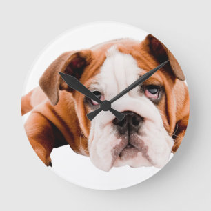 HORLOGE RONDE CHIENS, ANIMAUX DE BULLDOG CUTE ADORABLE RÉALISME