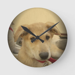 Horloge Ronde Chiens et chiots mignons, le deuxième meilleur ami