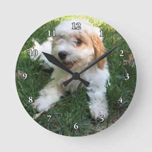 HORLOGE RONDE CHIOT MIGNON DE CAVAPOO