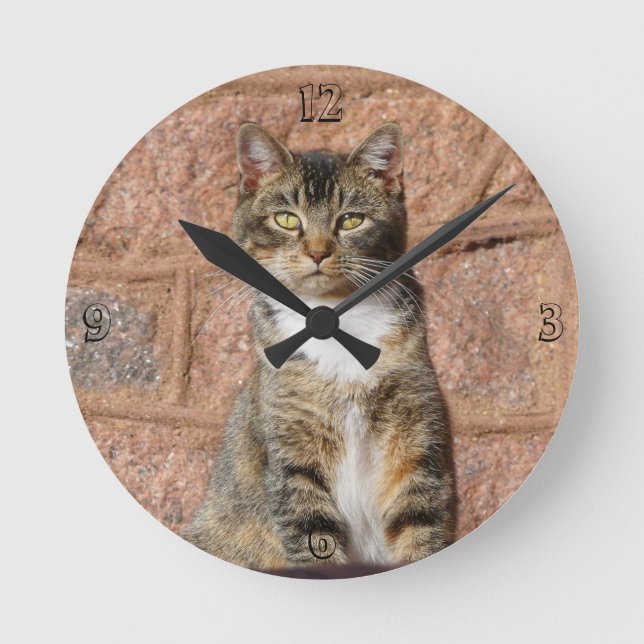 Horloge Ronde Church Cat (Recto)