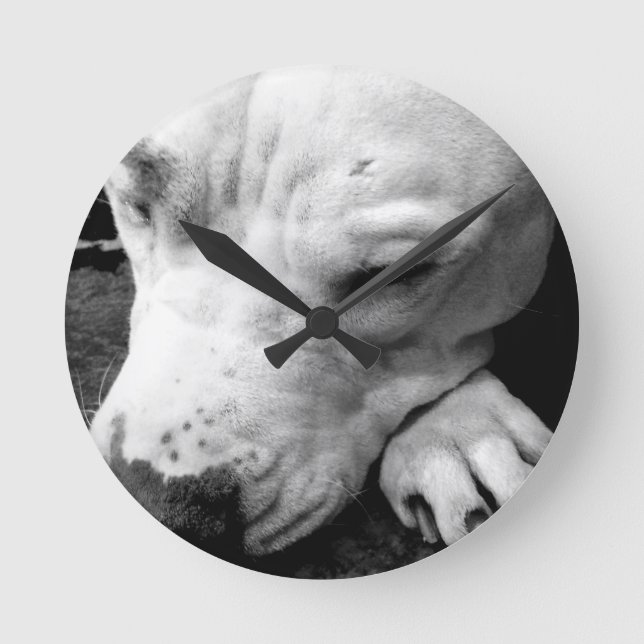Horloge Ronde cicatrice de harry potter chien pit bull blanc (Recto)