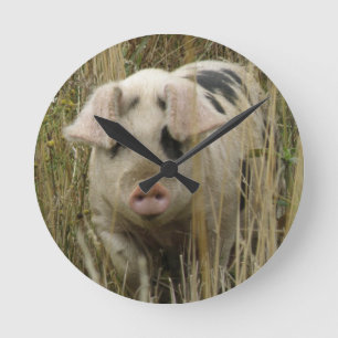 Horloge Ronde Clock Cute Pig