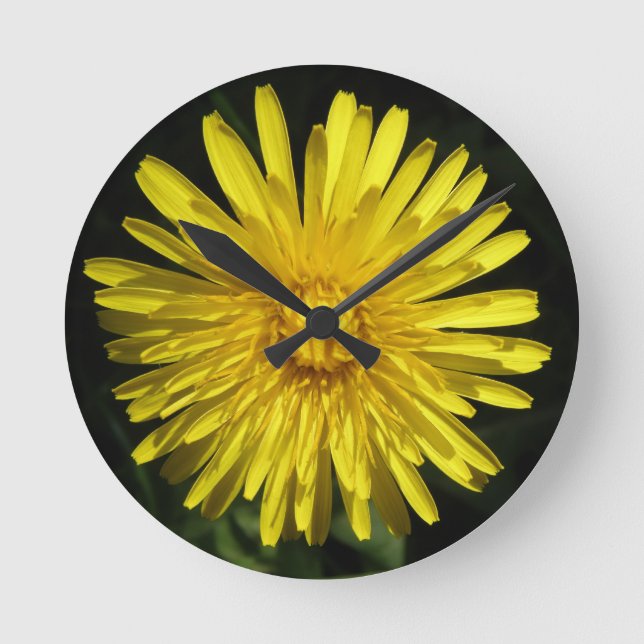 Horloge Ronde Clock de Dandelion (Recto)