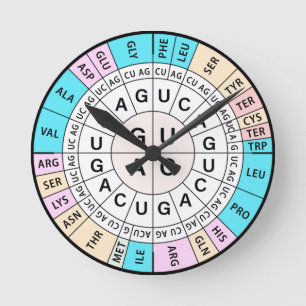 Horloge Ronde Codon Chart Genetic Code