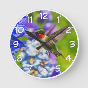 Horloge Ronde Colibri Et Delphinium