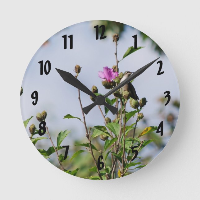 Horloge Ronde Colibri perché (Recto)