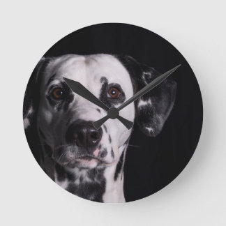 Horloge Ronde Concours photo Dalmatien GWDC