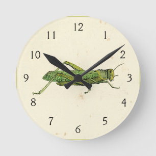 Horloge Ronde Copie encadrée de sauterelle verte