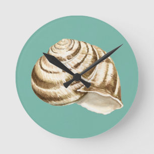 Horloge Ronde Coquille striée Sepia sur Turquoise